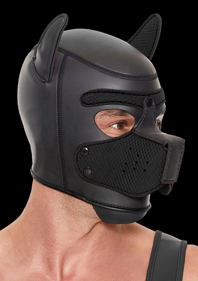 Ouch! Puppy Play - Puppy Masker